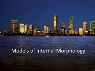 Models of Internal Morphology
 