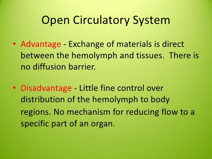 What are open circulatory systems?