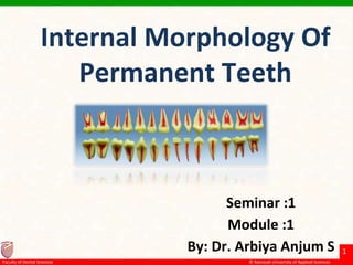 © Ramaiah University of Applied Sciences
1
Faculty of Dental Sciences
Internal Morphology Of
Permanent Teeth
Seminar :1
Module :1
By: Dr. Arbiya Anjum S
 