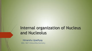 Internal organization of Nucleus
and Nucleolus
- Himanshu Upadhyay
MSc. MLT Clinical Biochemistry
 
