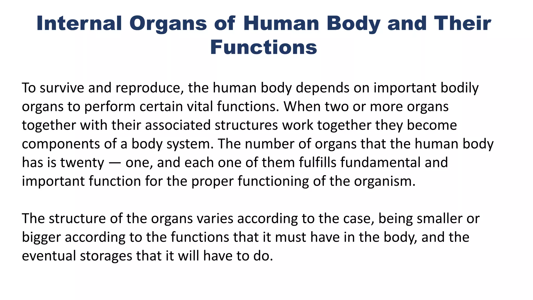 Internal Organs Of The Body And Their Functions Internal Organs Of The