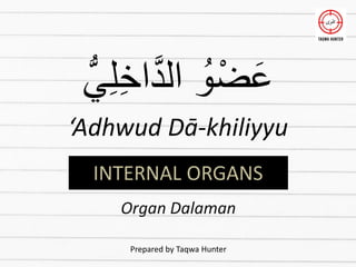 ‫ي‬ِ‫ل‬ِ‫خ‬‫ا‬َّ‫د‬‫ال‬ ُ‫و‬ْ‫ض‬َ‫ع‬
‘Adhwud Dā-khiliyyu
Organ Dalaman
INTERNAL ORGANS
Prepared by Taqwa Hunter
 