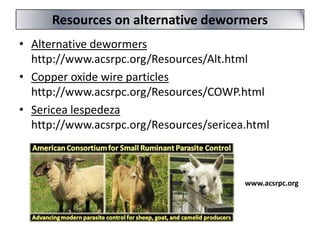 Resources on alternative dewormers
• Alternative dewormers
http://www.acsrpc.org/Resources/Alt.html
• Copper oxide wire particles
http://www.acsrpc.org/Resources/COWP.html
• Sericea lespedeza
http://www.acsrpc.org/Resources/sericea.html

www.acsrpc.org

 