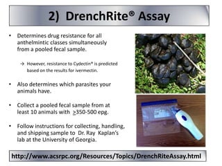 2) DrenchRite® Assay
• Determines drug resistance for all
anthelmintic classes simultaneously
from a pooled fecal sample.
→ However, resistance to Cydectin® is predicted
based on the results for ivermectin.

• Also determines which parasites your
animals have.
• Collect a pooled fecal sample from at
least 10 animals with >350-500 epg.
• Follow instructions for collecting, handling,
and shipping sample to Dr. Ray Kaplan’s
lab at the University of Georgia.

http://www.acsrpc.org/Resources/Topics/DrenchRiteAssay.html

 