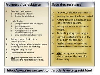 Promotes drug resistance

Slows drug resistance

1)

1) Targeted, selective treatments.
2) Leaving some animals untreated.
3) Putting treated animals onto a
contaminated pasture.
4) Dosing based on an accurate
weight.
5) Depositing drug over tongue.
6) Leaving treated animals in dry
lot or barn for 48 hours.
7) Fasting animals when using
benzimidazoles or avermectins.

Frequent deworming
a)
b)

2)

Underdosing
a)
b)
c)
d)
e)

3)
4)
5)
6)
7)

Treating on a schedule
Treating the whole flock

Giving insufficient dose (by weight)
Injecting dewormers
Pouring on dewormers
Putting dewormer in mouth
instead of over tongue.
Using persistent activity dewormer

Putting treated flock onto a
“clean” pasture.
Treating animals when infection levels
are low (in animal, on pasture).
Frequent drug rotation
Combination treatments
ANY management practice which
increases the need for deworming.

8) ANY management practice
which reduces the need for
deworming.

http://www.sheepandgoat.com/articles/slowdrugresist.html

 
