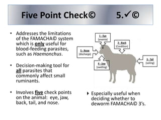 Five Point Check©

5.©

• Addresses the limitations
of the FAMACHA© system
which is only useful for
blood-feeding parasites,
such as Haemonchus.

• Decision-making tool for
all parasites that
commonly affect small
ruminants.
• Involves five check points
on the animal: eye, jaw,
back, tail, and nose.

 Especially useful when
deciding whether to
deworm FAMACHA© 3’s.

 