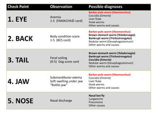 Check Point

Observation

Possible diagnoses

Anemia
1-5 (FAMACHA© card)

Barber pole worm (Haemonchus)
Coccidia (Eimeria)
Liver fluke
Hook worms
Other worms and causes

Body condition score
1-5 (BCS card)

Barber pole worm (Haemonchus)
Brown stomach worm (Teladorsagia)
Bankrupt worm (Trichostrongylus)
Nodular worm (Oesophagostomum)
Other worms and causes

3. TAIL

Fecal soiling
(0-5) Dag score card

Brown stomach worm (Teladorsagia)
Bankrupt worm (Trichostrongylus)
Coccidia (Eimeria)
Nodular worm (Oesophagostomum)
Other worms and causes

4. JAW

Submandibular edema
Soft swelling under jaw
“Bottle jaw”

Barber pole worm (Haemonchus)
Coccidia (Eimeria)
Liver fluke
Hook worms
Other worms and causes

Nasal discharge

Nasal bot fly
Lungworms
Pneumonia
Other causes

1. EYE
2. BACK

5. NOSE

 