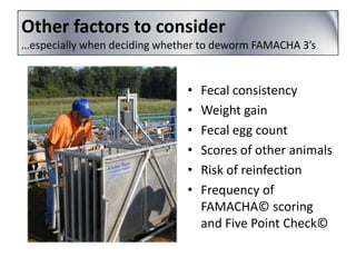 Other factors to consider
…especially when deciding whether to deworm FAMACHA 3’s

•
•
•
•
•
•

Fecal consistency
Weight gain
Fecal egg count
Scores of other animals
Risk of reinfection
Frequency of
FAMACHA© scoring
and Five Point Check©

 