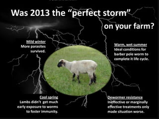 Was 2013 the “perfect storm”
on your farm?
Mild winter
More parasites
survived.

Cool spring
Lambs didn’t get much
early exposure to worms
to foster immunity.

Warm, wet summer
Ideal conditions for
barber pole worm to
complete it life cycle.

Dewormer resistance
Ineffective or marginally
effective treatments only
made situation worse.

 