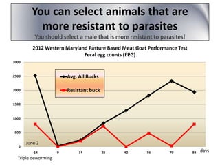 You can select animals that are
more resistant to parasites
You should select a male that is more resistant to parasites!
2012 Western Maryland Pasture Based Meat Goat Performance Test
Fecal egg counts (EPG)
3000

2500

Avg. All Bucks

2000

Resistant buck

1500

1000

500

0

June 2
-14

Triple deworming

0

14

28

42

56

70

84

days

 