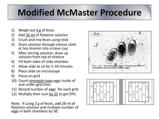 Modified McMaster Procedure
1)
2)
3)
4)
5)
6)
7)
8)
9)
10)
11)
12)

Weigh out 4 g of feces
Add 26 ml of flotation solution
Crush and mix feces using stick
Drain solution through cheese cloth
or tea strainer into a clean cup
After stirring solution, draw up
solution from top of mixture
Fill both sides of slide chamber.
Allow slide to sit for 5-10 minutes
Place slide on microscope
Focus on grid
Count strongyle-type eggs inside of
and under grid lines
Record number of eggs for each grid.
Multiply their sum by 25 to get EPG

Note: If using 2 g of feces, add 28 ml of
flotation solution and multiple number of
eggs in both chambers by 50.

 