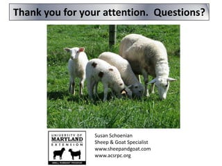 Thank you for your attention. Questions?

Susan Schoenian
Sheep & Goat Specialist
www.sheepandgoat.com
www.acsrpc.org

 