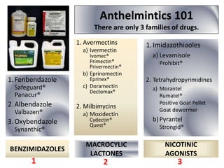 Anthelmintics 101
There are only 3 families of drugs.
1. Avermectins
a) Ivermectin

Ivomec®
Primectin®
Privermectin®

1. Fenbendazole
Safeguard®
Panacur®

2. Albendazole
Valbazen®

3. Oxybendazole
Synanthic®

BENZIMIDAZOLES

1

b) Eprinomectin

1. Imidazothiaoles
a) Levamisole
Prohibit®

Eprinex®

2. Tetrahydropyrimidines

c) Doramectin

a) Morantel
Rumatel®
Positive Goat Pellet
Goat dewormer

Dectomax®

2. Milbimycins
a) Moxidectin
Cydectin®
Quest®

b) Pyrantel
Strongid®

MACROCYLIC
LACTONES

NICOTINIC
AGONISTS

2

3

 