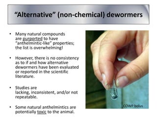 “Alternative” (non-chemical) dewormers
• Many natural compounds
are purported to have
“anthelmintic-like” properties;
the list is overwhelming!
• However, there is no consistency
as to if and how alternative
dewormers have been evaluated
or reported in the scientific
literature.
• Studies are
lacking, inconsistent, and/or not
repeatable.
• Some natural anthelmintics are
potentially toxic to the animal.

COWP bolus

 