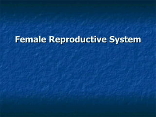 Female Reproductive System 