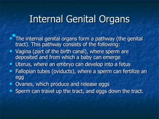 <ul><li>The internal genital organs form a pathway (the genital tract). This pathway consists of the following: </li></ul>...