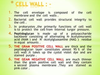 1. The cell envelope is composed of the cell
membrane and the cell walls .
2. Bacterial cell wall provides structural integrity to
the cell .
3. In prokaryotes ,the primarily functions of cell wall
is to protect the cell from internal turgor pressure.
4. Peptidoglycan is made up of a polysaccharide
backbone consisting of alternating N- Acetylmuramic
acid (NAM ) and N –Acetylgluosamine (NAG ) residue
in equal amounts .
5. THE GRAM POSITIVE CELL WALL are thick and the
peptidoglycan layer constitutes almost 95 % of the
cell wall .It takes up the cystol violet dye and are
stained purple .
6. THE GEAM NEGATIVE CELL WALL are much thinner
than the gram positive cell wall and they contain
a second plasma membrane .They are stained as
pink color .
* CELL WALL : -
 