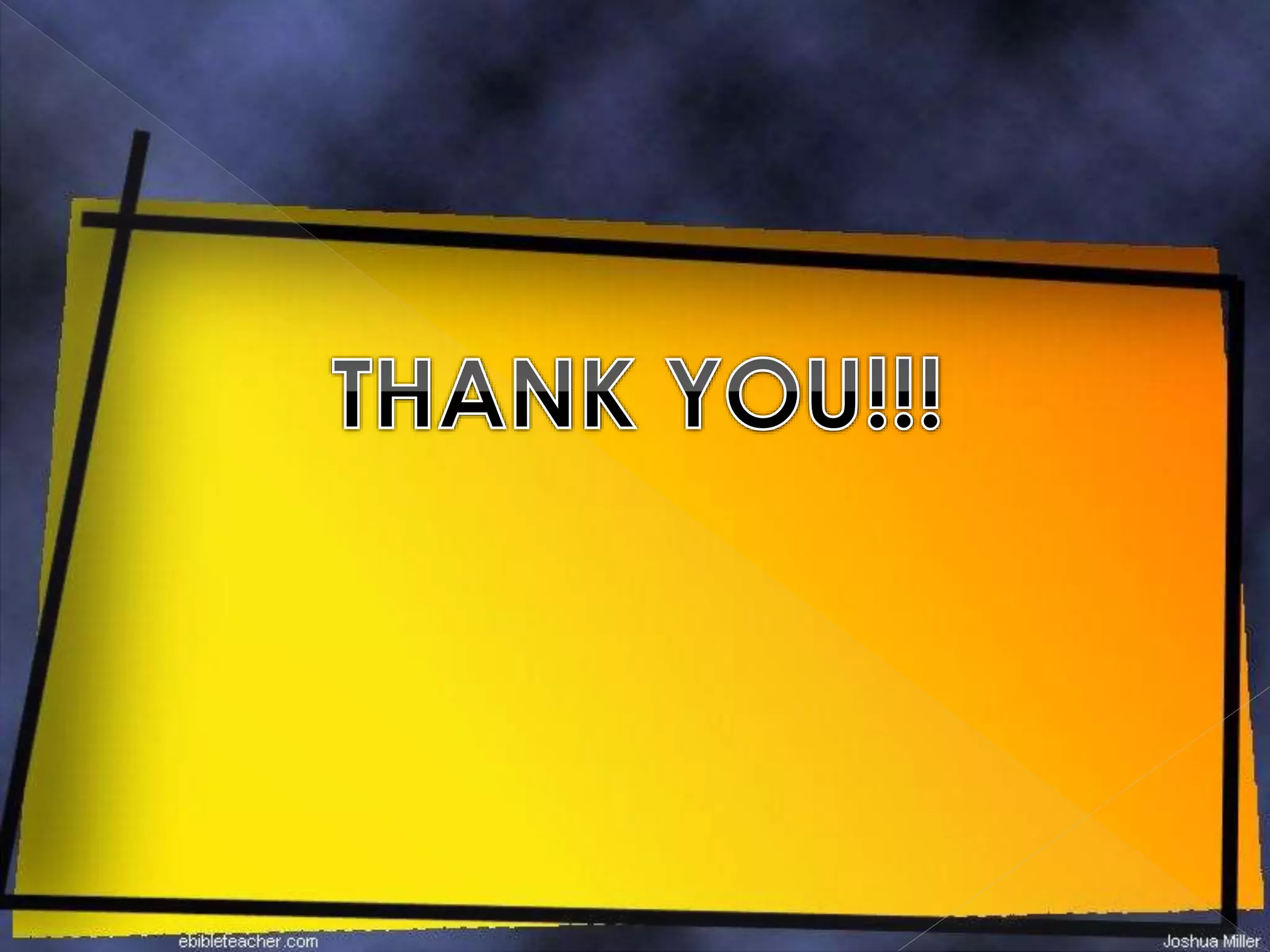 Internal structure of monocot stem