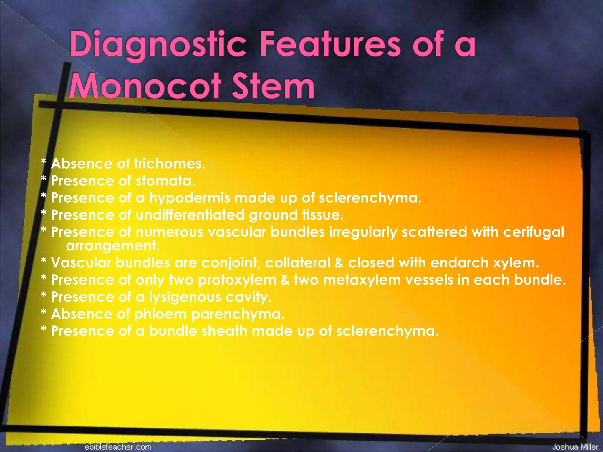 * Absence of trichomes.
* Presence of stomata.
* Presence of a hypodermis made up of sclerenchyma.
* Presence of undifferentiated ground tissue.
* Presence of numerous vascular bundles irregularly scattered with cerifugal
arrangement.
* Vascular bundles are conjoint, collateral & closed with endarch xylem.
* Presence of only two protoxylem & two metaxylem vessels in each bundle.
* Presence of a lysigenous cavity.
* Absence of phloem parenchyma.
* Presence of a bundle sheath made up of sclerenchyma.
 