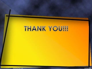 Internal structure of monocot stem