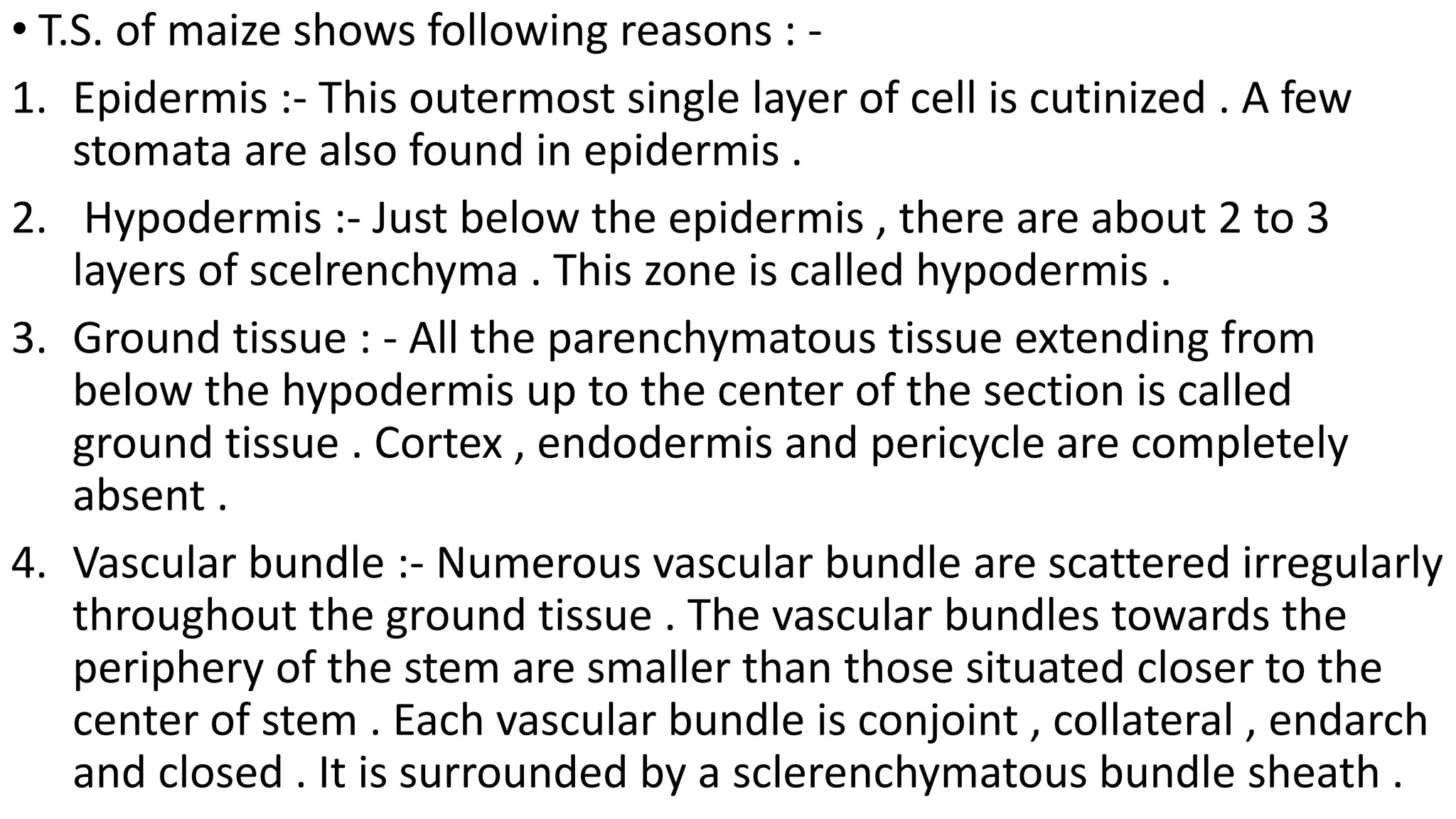 • T.S. of maize shows following reasons : -
1. Epidermis :- This outermost single layer of cell is cutinized . A few
stomata are also found in epidermis .
2. Hypodermis :- Just below the epidermis , there are about 2 to 3
layers of scelrenchyma . This zone is called hypodermis .
3. Ground tissue : - All the parenchymatous tissue extending from
below the hypodermis up to the center of the section is called
ground tissue . Cortex , endodermis and pericycle are completely
absent .
4. Vascular bundle :- Numerous vascular bundle are scattered irregularly
throughout the ground tissue . The vascular bundles towards the
periphery of the stem are smaller than those situated closer to the
center of stem . Each vascular bundle is conjoint , collateral , endarch
and closed . It is surrounded by a sclerenchymatous bundle sheath .
 