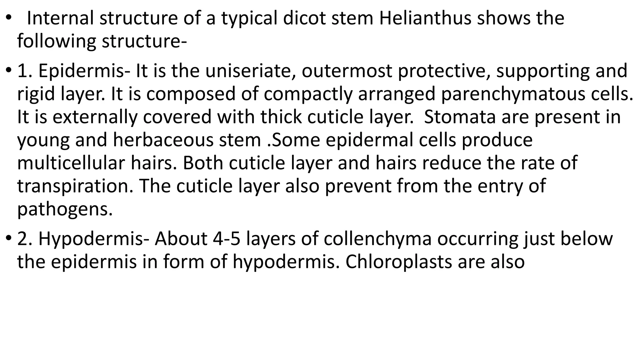 • Internal structure of a typical dicot stem Helianthus shows the
following structure-
• 1. Epidermis- It is the uniseriate, outermost protective, supporting and
rigid layer. It is composed of compactly arranged parenchymatous cells.
It is externally covered with thick cuticle layer. Stomata are present in
young and herbaceous stem .Some epidermal cells produce
multicellular hairs. Both cuticle layer and hairs reduce the rate of
transpiration. The cuticle layer also prevent from the entry of
pathogens.
• 2. Hypodermis- About 4-5 layers of collenchyma occurring just below
the epidermis in form of hypodermis. Chloroplasts are also
 