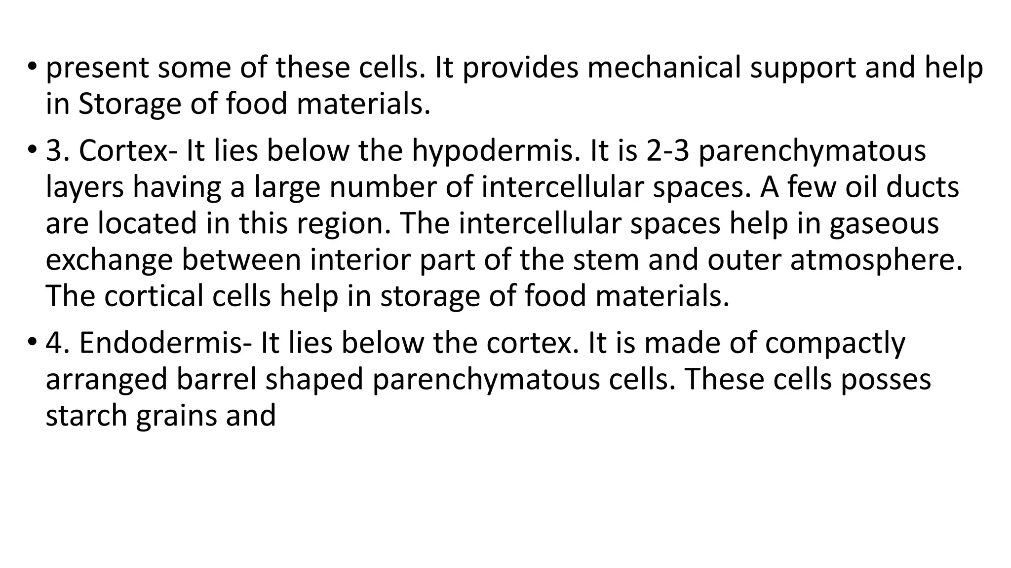 • present some of these cells. It provides mechanical support and help
in Storage of food materials.
• 3. Cortex- It lies below the hypodermis. It is 2-3 parenchymatous
layers having a large number of intercellular spaces. A few oil ducts
are located in this region. The intercellular spaces help in gaseous
exchange between interior part of the stem and outer atmosphere.
The cortical cells help in storage of food materials.
• 4. Endodermis- It lies below the cortex. It is made of compactly
arranged barrel shaped parenchymatous cells. These cells posses
starch grains and
 