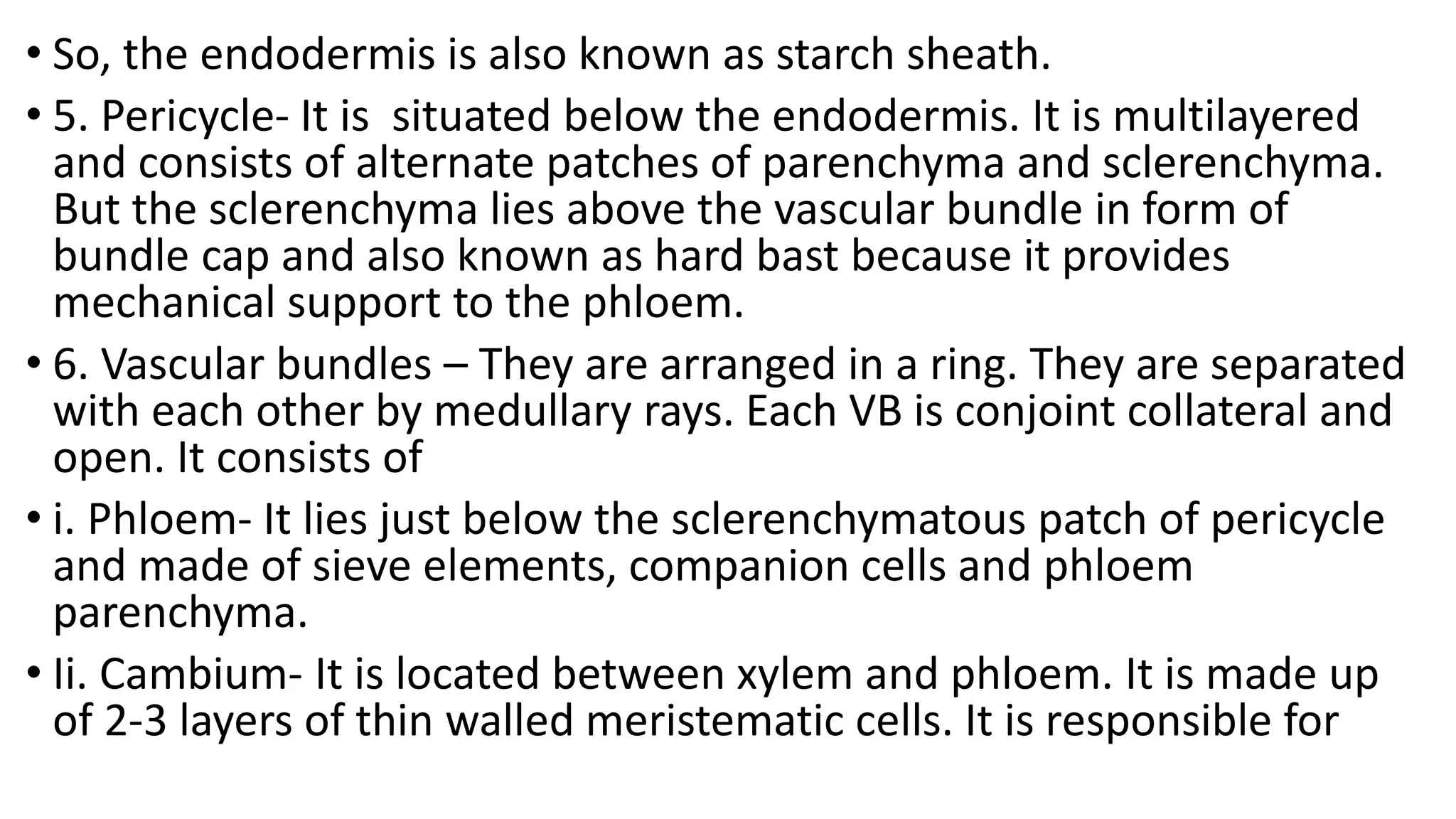 • So, the endodermis is also known as starch sheath.
• 5. Pericycle- It is situated below the endodermis. It is multilayered
and consists of alternate patches of parenchyma and sclerenchyma.
But the sclerenchyma lies above the vascular bundle in form of
bundle cap and also known as hard bast because it provides
mechanical support to the phloem.
• 6. Vascular bundles – They are arranged in a ring. They are separated
with each other by medullary rays. Each VB is conjoint collateral and
open. It consists of
• i. Phloem- It lies just below the sclerenchymatous patch of pericycle
and made of sieve elements, companion cells and phloem
parenchyma.
• Ii. Cambium- It is located between xylem and phloem. It is made up
of 2-3 layers of thin walled meristematic cells. It is responsible for
 