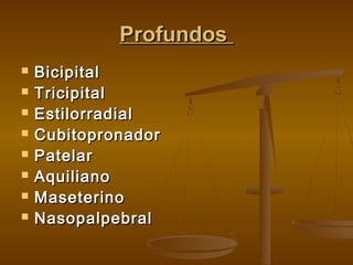 Profundos









Bicipital
Tricipital
Estilorradial
Cubitopronador
Patelar
Aquiliano
Maseterino
Nasopalpebral

 