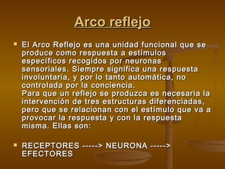 Arco reflejo




El Arco Reflejo es una unidad funcional que se
produce como respuesta a estímulos
específicos recogidos por neuronas
sensoriales. Siempre significa una respuesta
involuntaria, y por lo tanto automática, no
controlada por la conciencia.
Para que un reflejo se produzca es necesaria la
intervención de tres estructuras diferenciadas,
pero que se relacionan con el estímulo que va a
provocar la respuesta y con la respuesta
misma. Ellas son:
RECEPTORES -----> NEURONA ----->
EFECTORES

 