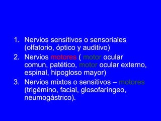 1. Nervios sensitivos o sensoriales
(olfatorio, óptico y auditivo)
2. Nervios motores ( motor ocular
comun, patético, motor ocular externo,
espinal, hipogloso mayor)
3. Nervios mixtos o sensitivos – motores
(trigémino, facial, glosofaríngeo,
neumogástrico).
 