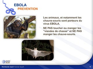 16
Les animaux, et notamment les
chauve-souris sont porteurs du
virus EBOLA.
NE PAS toucher ou manger les
”viandes de chasse” et NE PAS
manger les chauve-souris.
EBOLA
PREVENTION
 