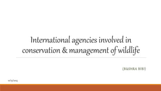 International agencies involved in
conservation & management of wildlife
(BUSHRA BIBI)
10/25/2023
 