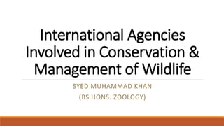 International Agencies
Involved in Conservation &
Management of Wildlife
SYED MUHAMMAD KHAN
(BS HONS. ZOOLOGY)
 