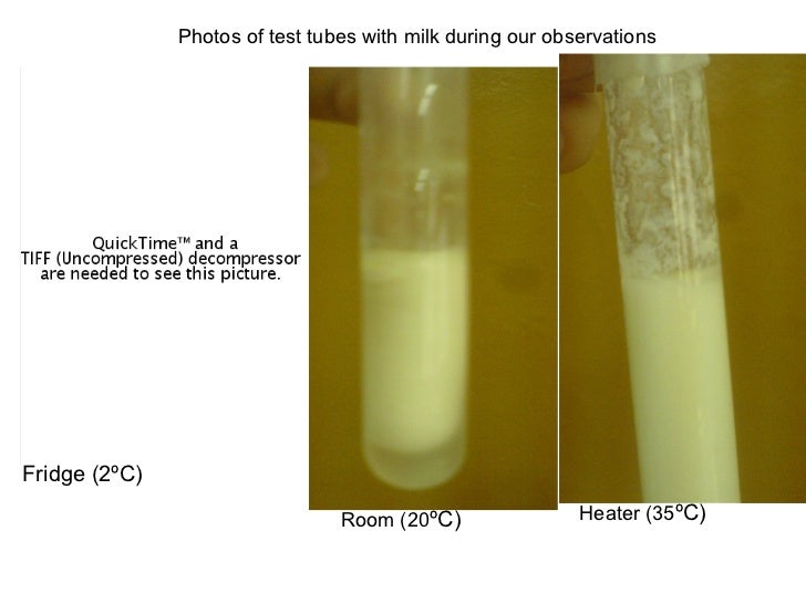 International baccalaureate group 4 project presentation_milk by fel…