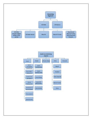 Grooming
Segment
Gillette
Gillette
double-edged
safety razor
series
Gillette Vector Mach3 Mach3 Turbo
Guard and
Mach3 Turbo
Sensitiveand
Fusion.
Old Spice
Health Care & Well Being
Segment
Oral-B
Electric
rechargeable
Toothbrushes
Brush Heads -
Replacement
Toothbrushes
with Battery
Manual
Toothbrushes
Toothpastes for
kids and babies
Floss productsl
Special Brushes
Crest
Crest
Toothpastes
Crest
Toothbrushes
Crest Rinses
Crest 3D
Whitestrips:
Oral-B Glide
whisperalways Vicks
Nyquil
DayQuil
Vicks Vaporub
Nature Fusion
Sinex
Clearasil
 