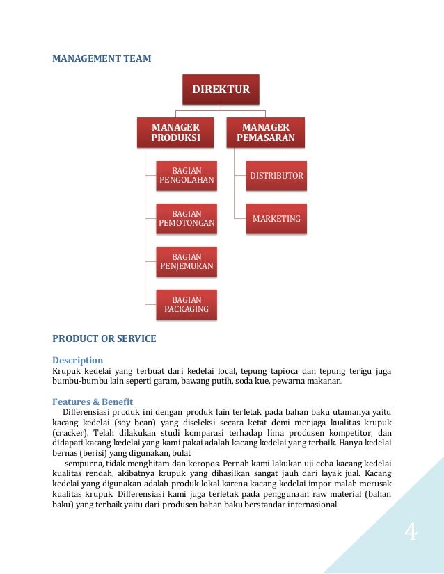 International business plan example picture