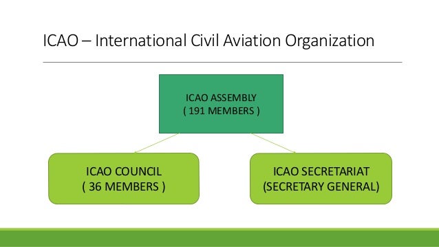 International civil aviation organization