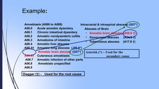 Example:
Amoebiasis (A060 to A069)
Acute amoebic dysentery
Chronic intestinal dysentery
A06.0
A06.1
A06.2
A06.3
A06.4
A06.5†
A06.6†
A06.7
A06.8
A06.9
Amoebic nondysenteric colitis
Amoeboma of intestine
Amoebic liver abscess
Amoebic lung abscess (J99.8*)
Amoebic brain abscess (G07*)
Cutaneous amoebiasis
Amoebic infection of other parts
Amoebiais unspecified
Intracranial & intraspinal abscess (G07*)
Abscess of Brain
• Amoebic brain abscess (A06.6 †)
• Gonococcal abscess
• Tuberculous abscess
(A54.8 †)
(A17.8 †)
Dagger (†) - Used for the root cause
Asterisk (*) – Used for the
secondary cause
 