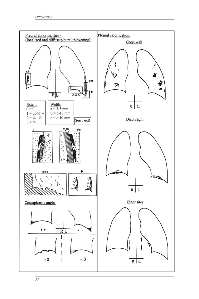 International classification of radiograph | PDF | Lung and Respiratory ...