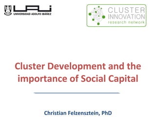 Cluster Development and the
importance of Social Capital
Christian Felzensztein, PhD
 
