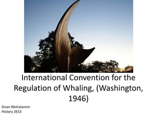 International Convention for the
Regulation of Whaling, (Washington,
1946)
Sinan Mohatarem
History 3ES3
 
