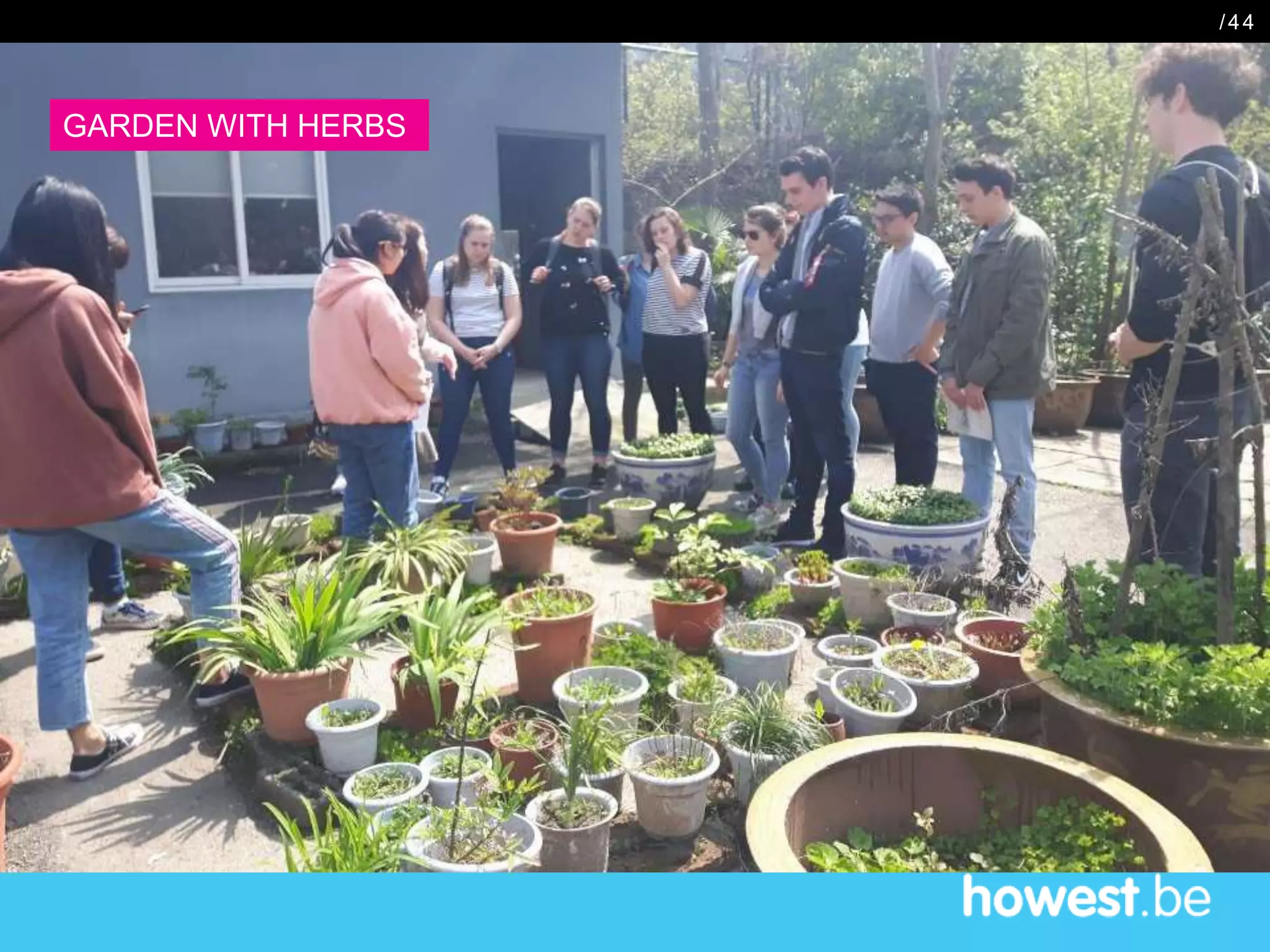 /44
GARDEN WITH HERBS
 