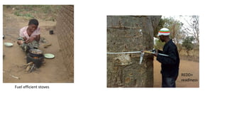 REDD+
readiness
Fuel efficient stoves
 