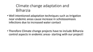 Climate change adaptation and
Bilharzia
• Well intentioned adaptation techniques such as Irrigation
near endemic areas cause increase in schistosomiasis
infections due to increased water contact
• Therefore Climate change projects have to include Bilharzia
control aspects in endemic areas- starting with our project!
 