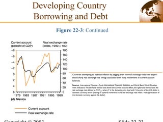 Developing Country
Borrowing and Debt
Figure 22-3: Continued
 