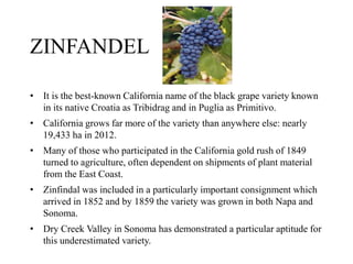 ZINFANDEL
• It is the best-known California name of the black grape variety known
in its native Croatia as Tribidrag and in Puglia as Primitivo.
• California grows far more of the variety than anywhere else: nearly
19,433 ha in 2012.
• Many of those who participated in the California gold rush of 1849
turned to agriculture, often dependent on shipments of plant material
from the East Coast.
• Zinfindal was included in a particularly important consignment which
arrived in 1852 and by 1859 the variety was grown in both Napa and
Sonoma.
• Dry Creek Valley in Sonoma has demonstrated a particular aptitude for
this underestimated variety.
 