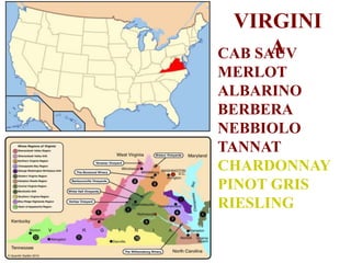 VIRGINI
A
CAB SAUV
MERLOT
ALBARINO
BERBERA
NEBBIOLO
TANNAT
CHARDONNAY
PINOT GRIS
RIESLING
 