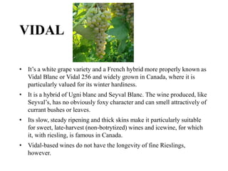 VIDAL
• It’s a white grape variety and a French hybrid more properly known as
Vidal Blanc or Vidal 256 and widely grown in Canada, where it is
particularly valued for its winter hardiness.
• It is a hybrid of Ugni blanc and Seyval Blanc. The wine produced, like
Seyval’s, has no obviously foxy character and can smell attractively of
currant bushes or leaves.
• Its slow, steady ripening and thick skins make it particularly suitable
for sweet, late-harvest (non-botrytized) wines and icewine, for which
it, with riesling, is famous in Canada.
• Vidal-based wines do not have the longevity of fine Rieslings,
however.
 
