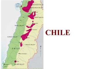 CHILE
 